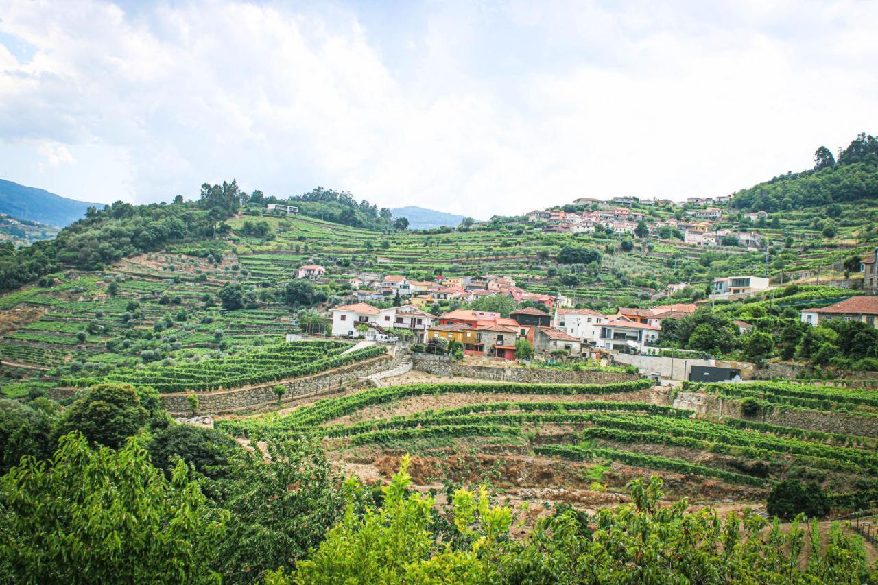 Casa Avos D'Ouro - Barqueiros, Mesao Frio, Douro 빌라 외부 사진