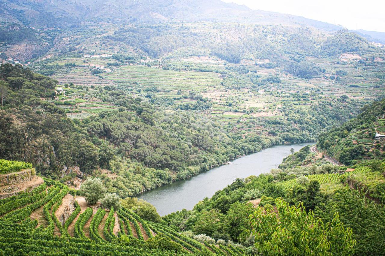 Casa Avos D'Ouro - Barqueiros, Mesao Frio, Douro 빌라 외부 사진